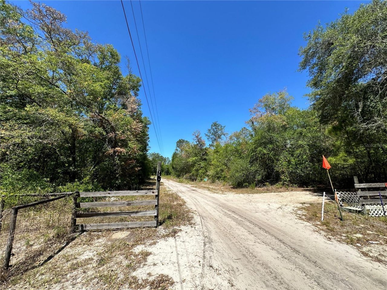 Tbd NE 128th Lane, Bronson, FL 32621 Photo