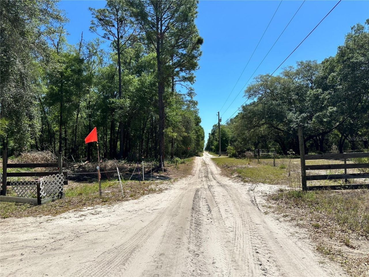 Tbd NE 128th Lane, Bronson, FL 32621 Photo