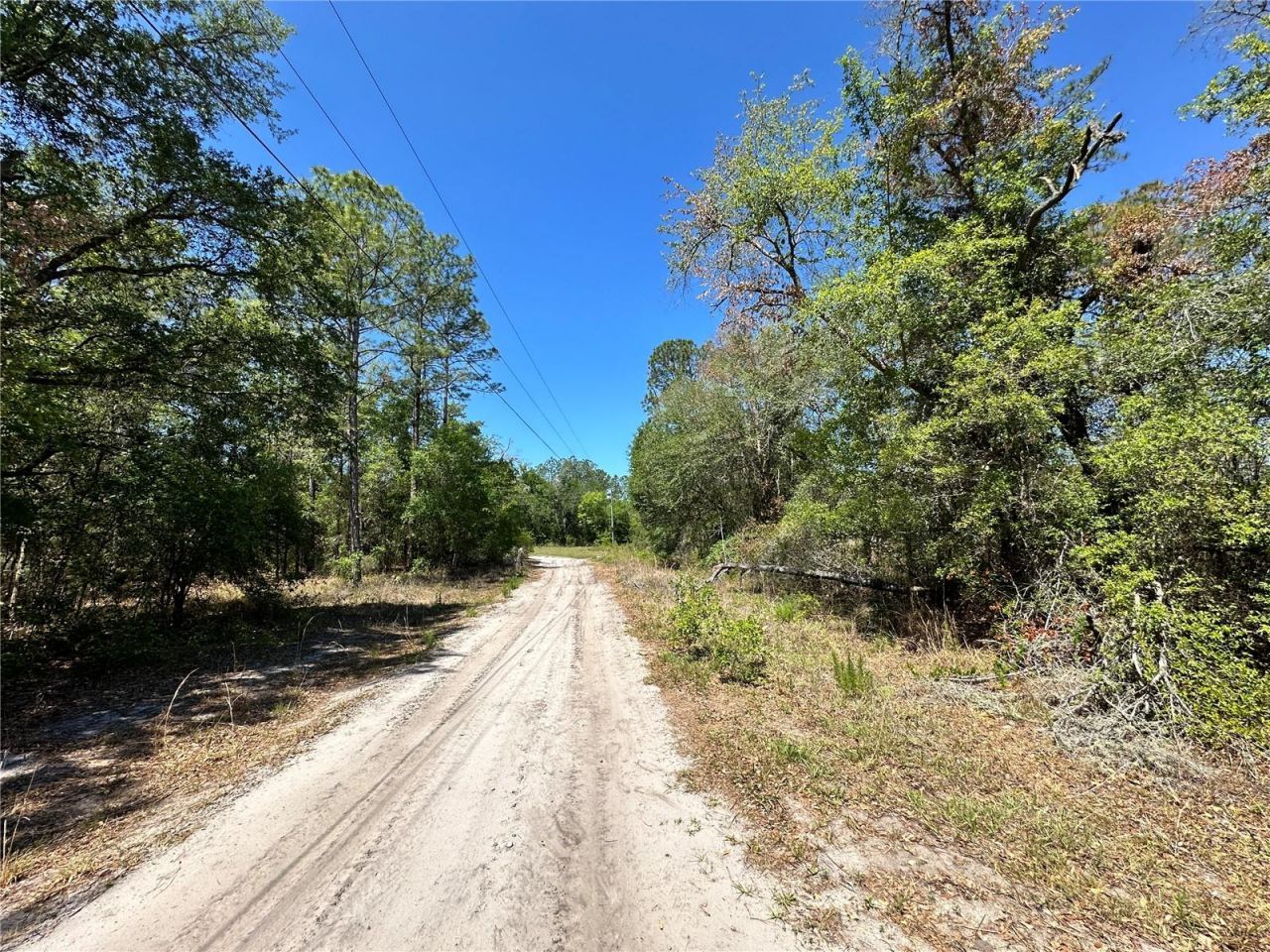Tbd NE 128th Lane, Bronson, FL 32621 Photo