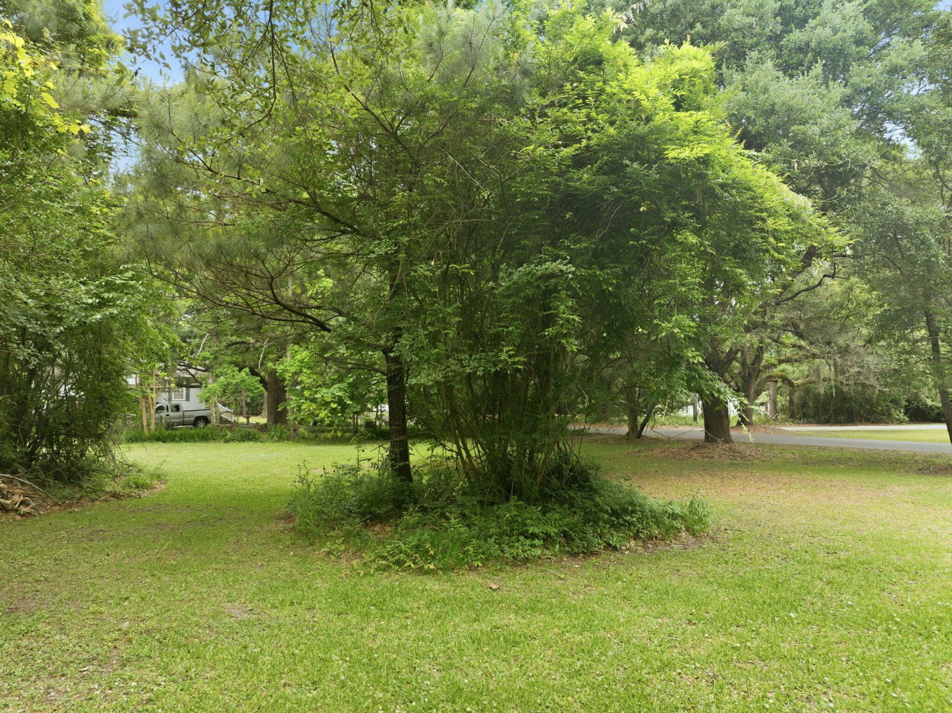 135 Scotia Street Photo 5