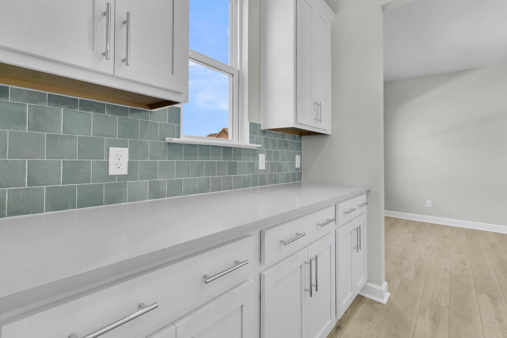 5344 Bending Flats Way Photo 19