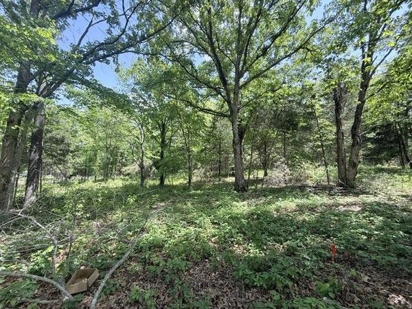 921 Eli Rd , Bon Aqua, TN 37025