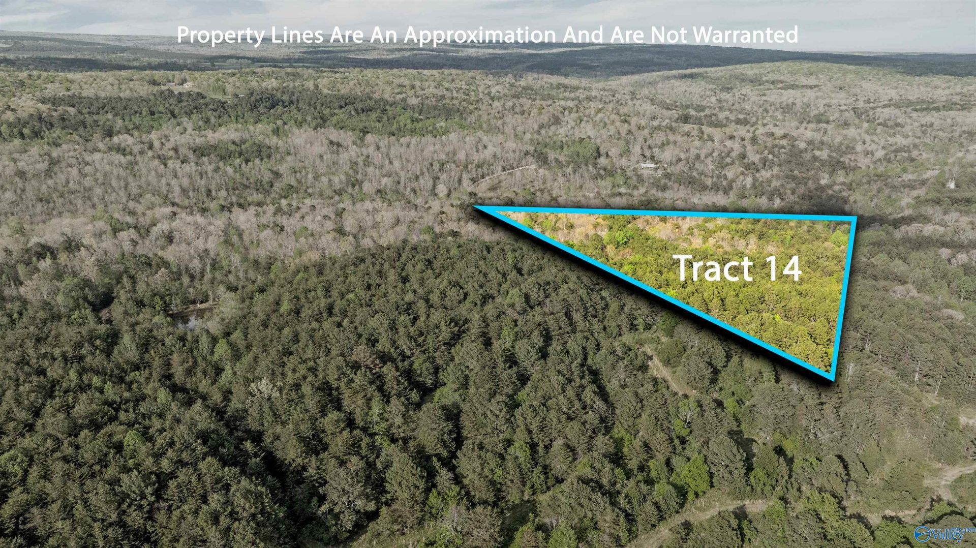 7.8 Acres Road 9002, Mentone, AL 35984 Main Photo