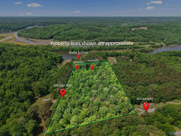 12105 Grigsby Ferry Road, Elkmont, AL 35620