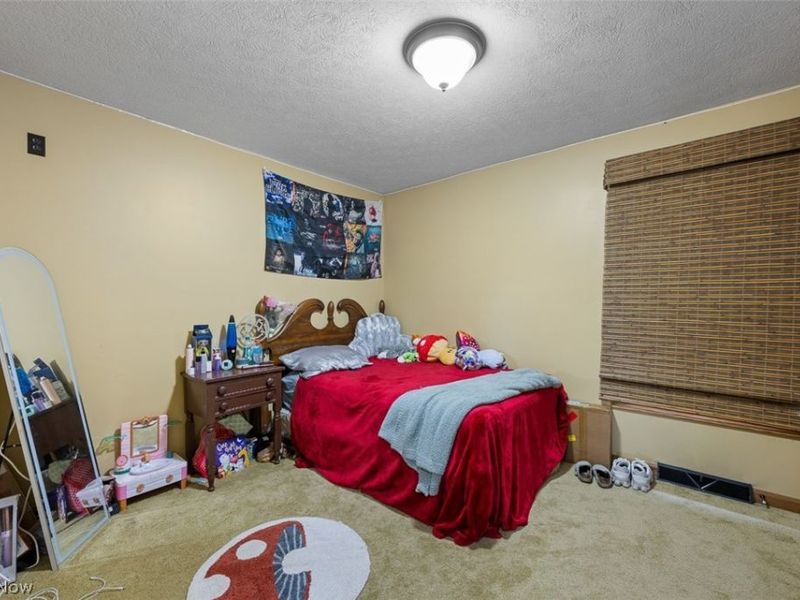 81910 Ourant Road, Cadiz, OH 43907 Photo 17