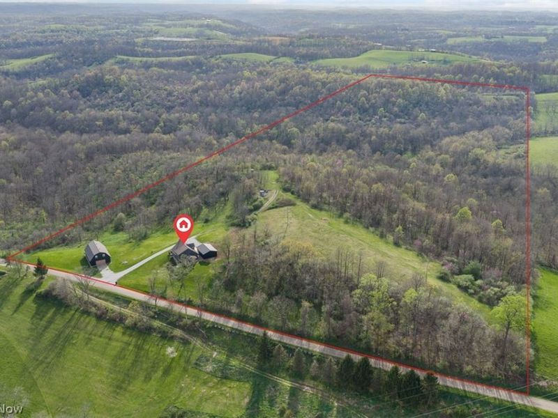 81910 Ourant Road, Cadiz, OH 43907 Photo 2