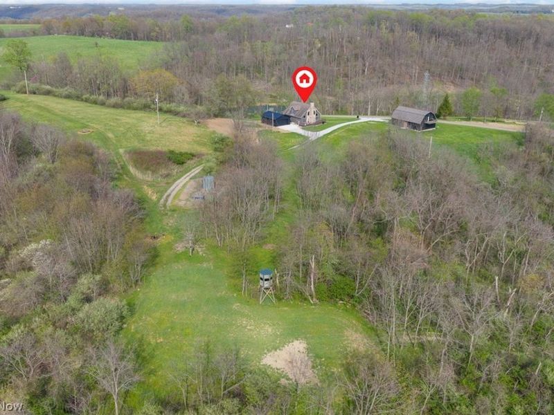 81910 Ourant Road, Cadiz, OH 43907 Photo 3