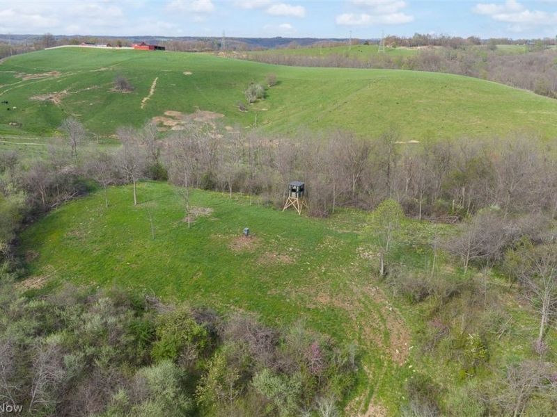 81910 Ourant Road, Cadiz, OH 43907 Photo 4