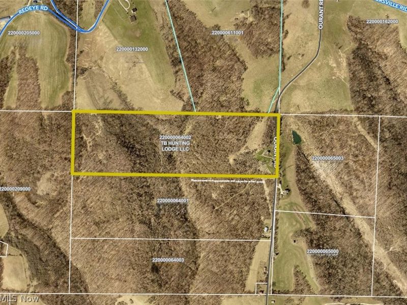 81910 Ourant Road, Cadiz, OH 43907 Photo 47
