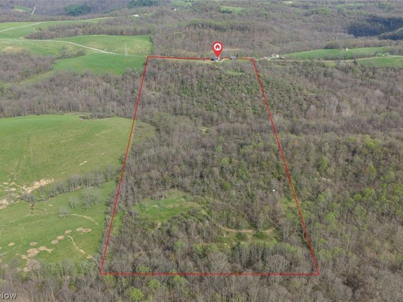 81910 Ourant Road, Cadiz, OH 43907 Photo 6