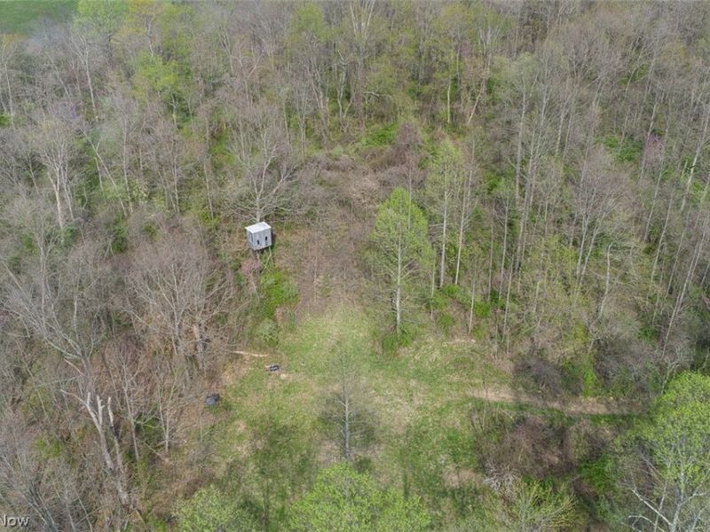 81910 Ourant Road, Cadiz, OH 43907 Photo 8