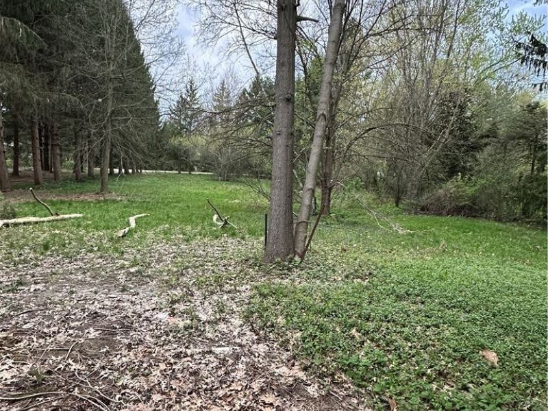 12754 Chamberlain Road, Aurora, OH 44202 Photo 15