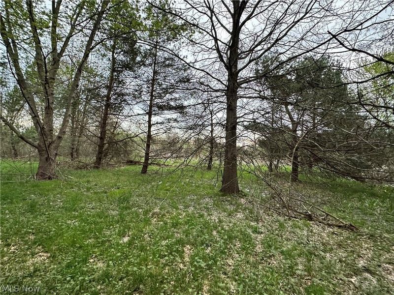 12754 Chamberlain Road, Aurora, OH 44202 Photo 20