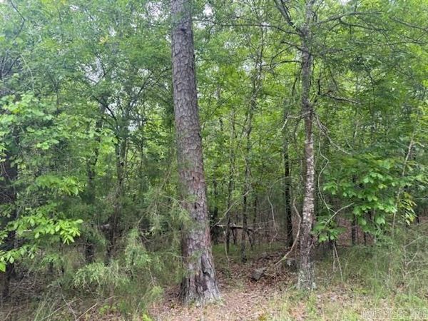 46 Campeon Way, Hot Springs Village, AR 71909