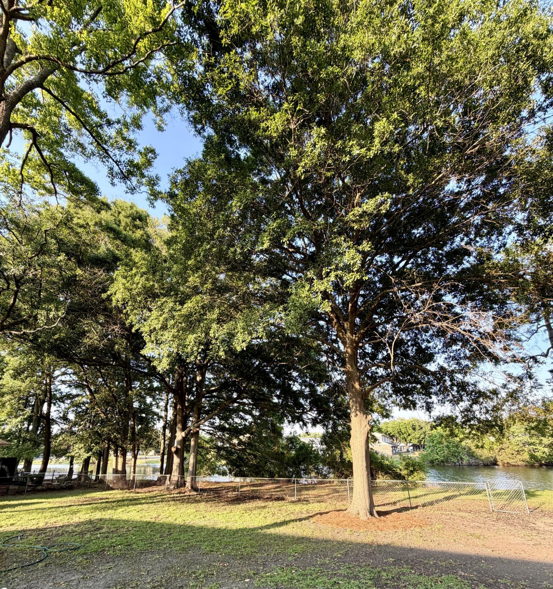 868 Melrose Drive Photo 12