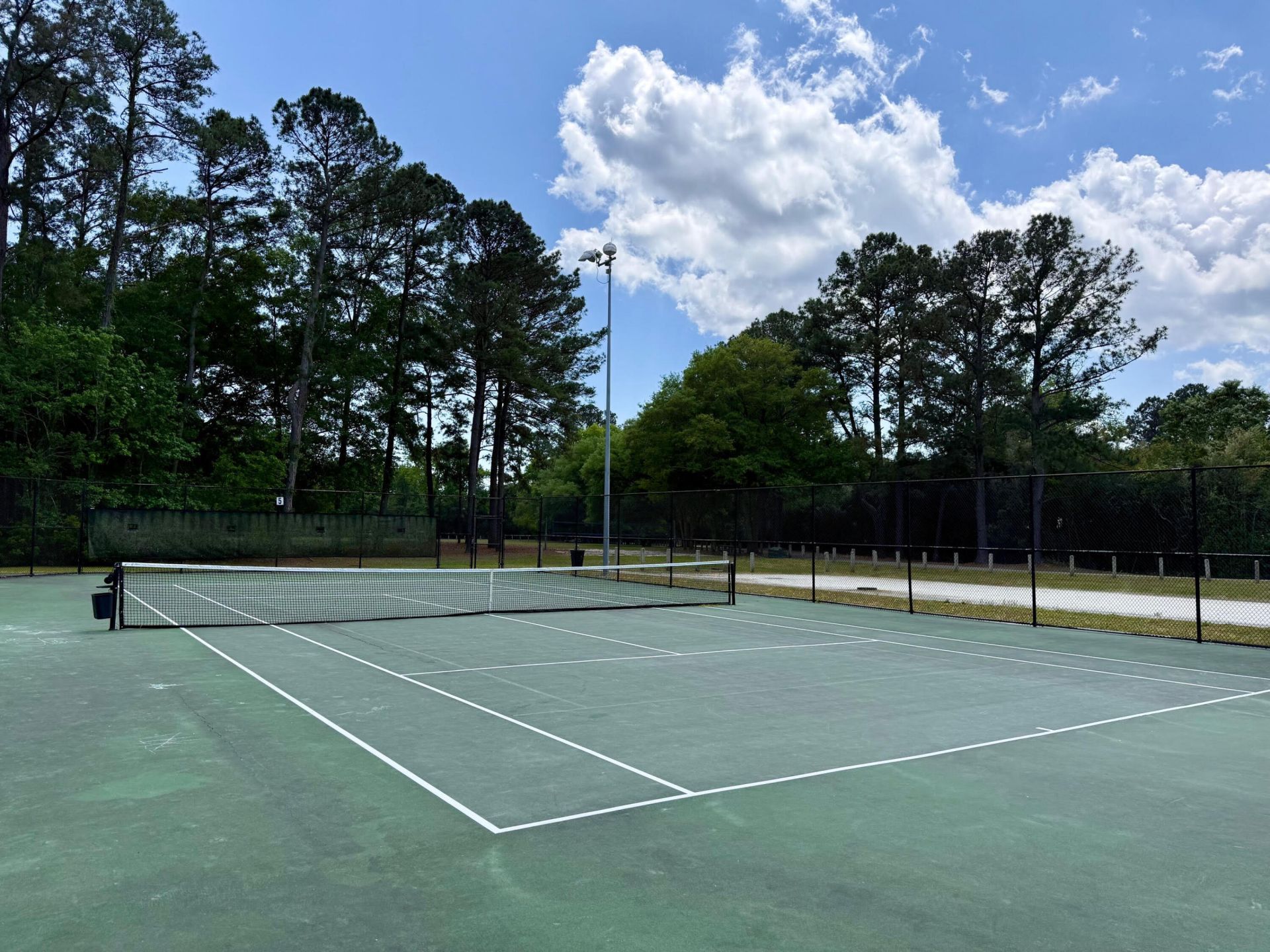 3462 Field Planters Road Photo 39