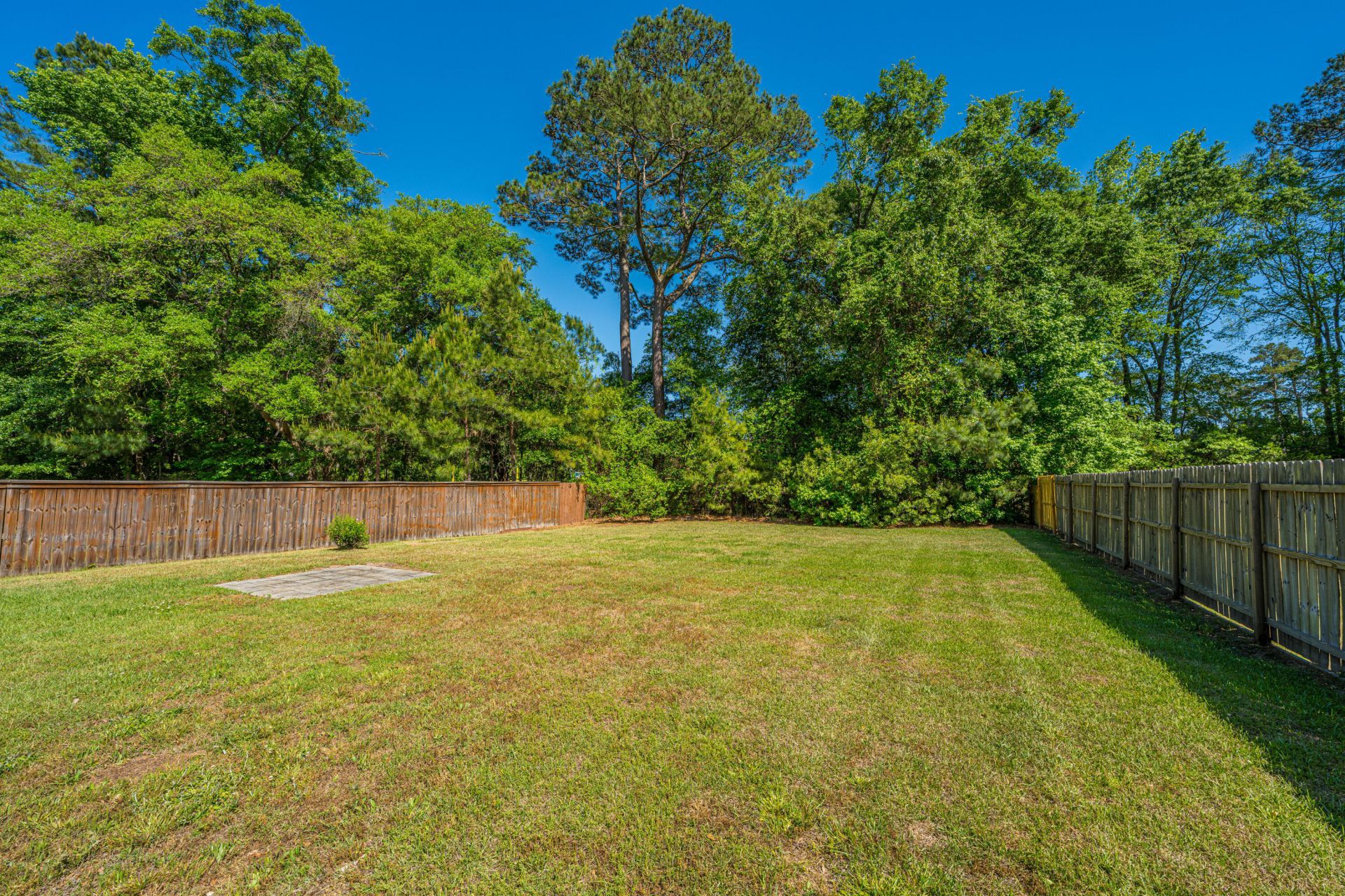 3462 Field Planters Road Photo 4