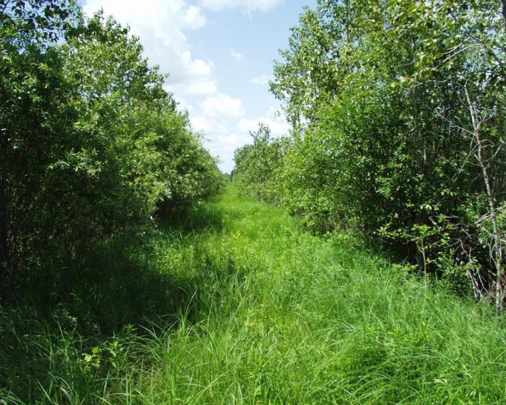 72001 NW Dicks Parkway , Grygla, MN 56727