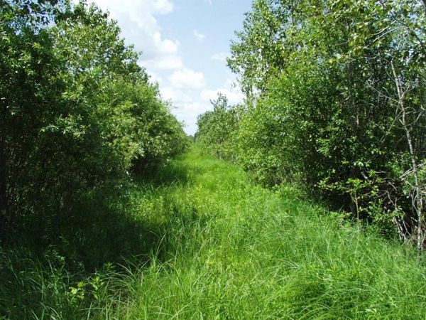 72001 NW Dicks Parkway , Grygla, MN 56727