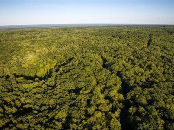 1923 Acres County Hwy C & Comet Rd Acres County , Exeland, WI 54835