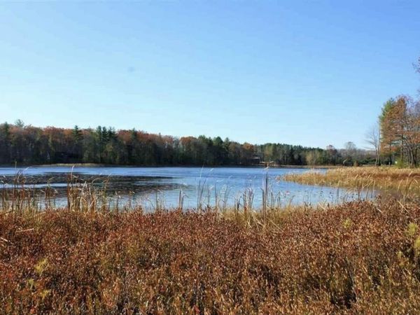 312 Blue Heron Drive, Kalkaska, MI 49646