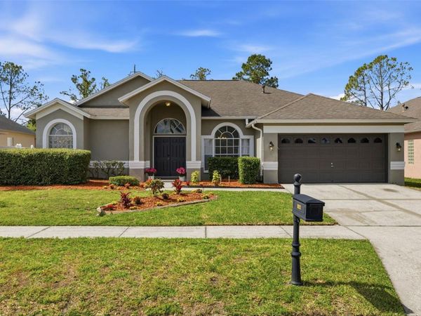 10121 KINGSHYRE WAY, TAMPA, FL 33647