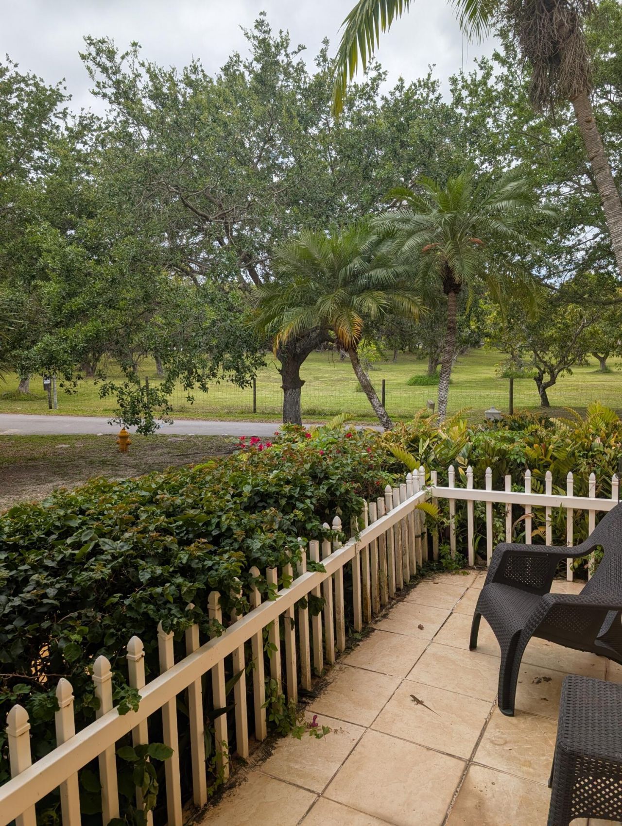 16435 SW 89th Avenue, Palmetto Bay, FL 33157 Photo