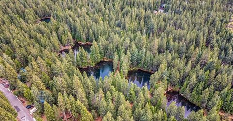 41130 Putt Road, Emigrant Gap, CA 95715 Photo