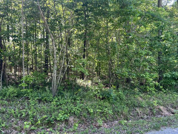 114 Swan Bay Estates Road , Buchanan, TN 38222