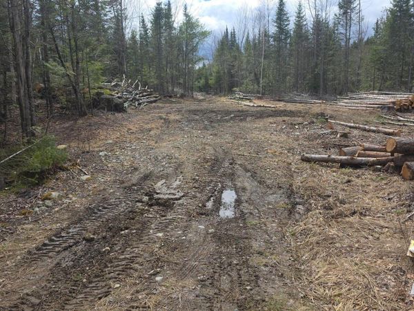 Parcel B Day Road , Garland, ME 04939