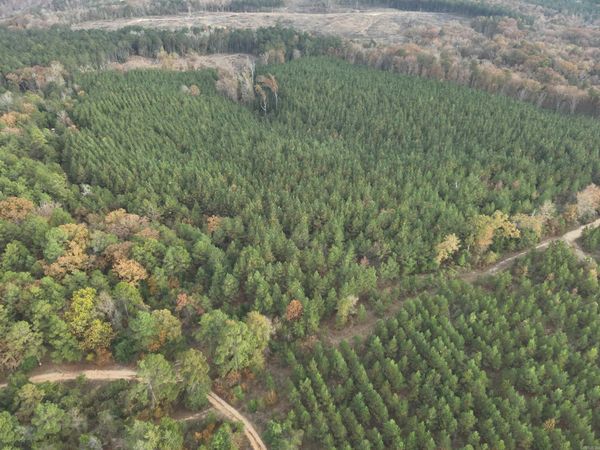 24-11-19 Ouachita CR 75 , Chidester, AR 71726