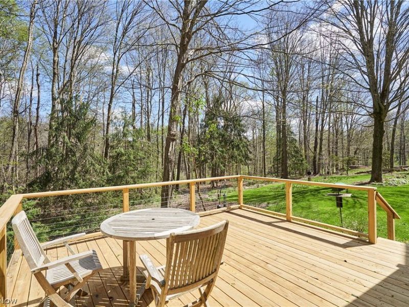 14125 Country River Lane, Newbury, OH 44065 Photo 22