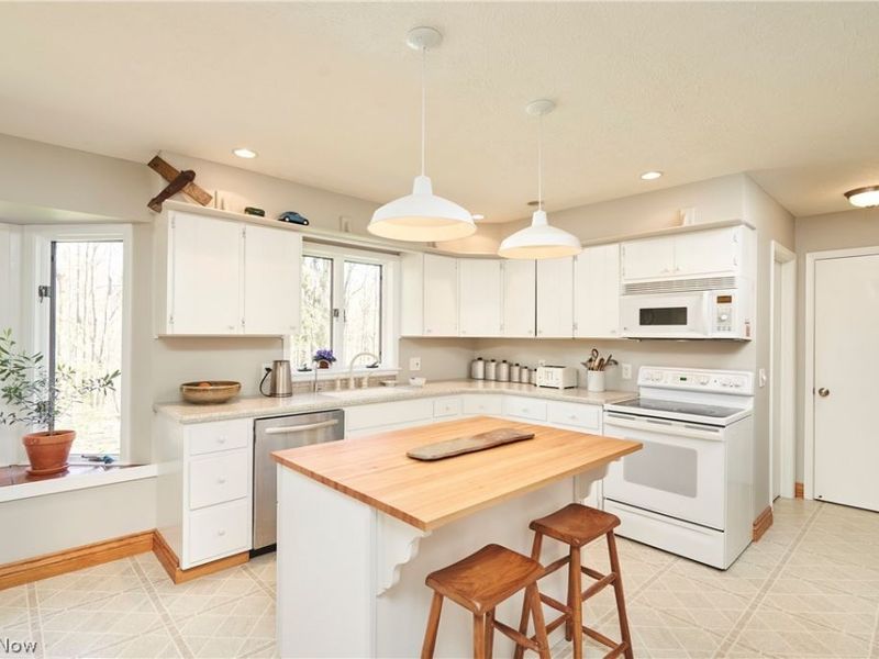 14125 Country River Lane, Newbury, OH 44065 Photo 6