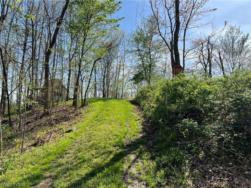 BOONE Road, Kimbolton, OH 43749 Photo 10