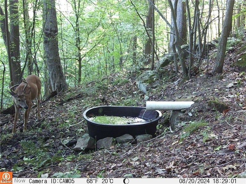 BOONE Road, Kimbolton, OH 43749 Photo 13