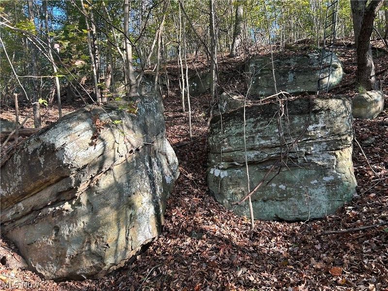 BOONE Road, Kimbolton, OH 43749 Photo 14