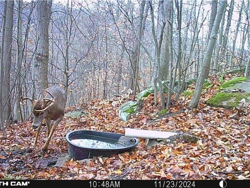 BOONE Road, Kimbolton, OH 43749 Photo 22