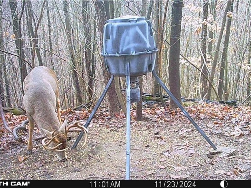 BOONE Road, Kimbolton, OH 43749 Photo 23