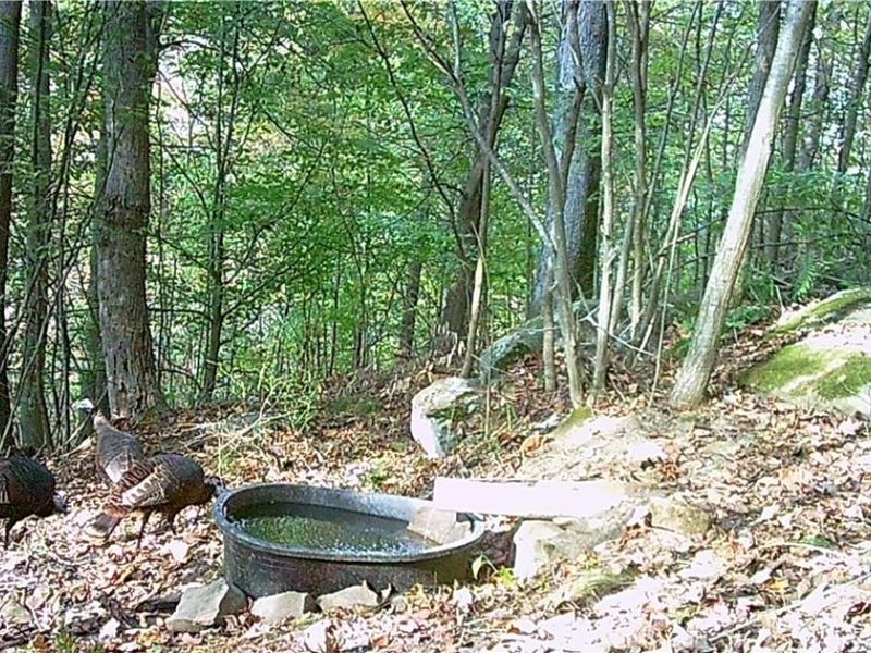 BOONE Road, Kimbolton, OH 43749 Photo 24