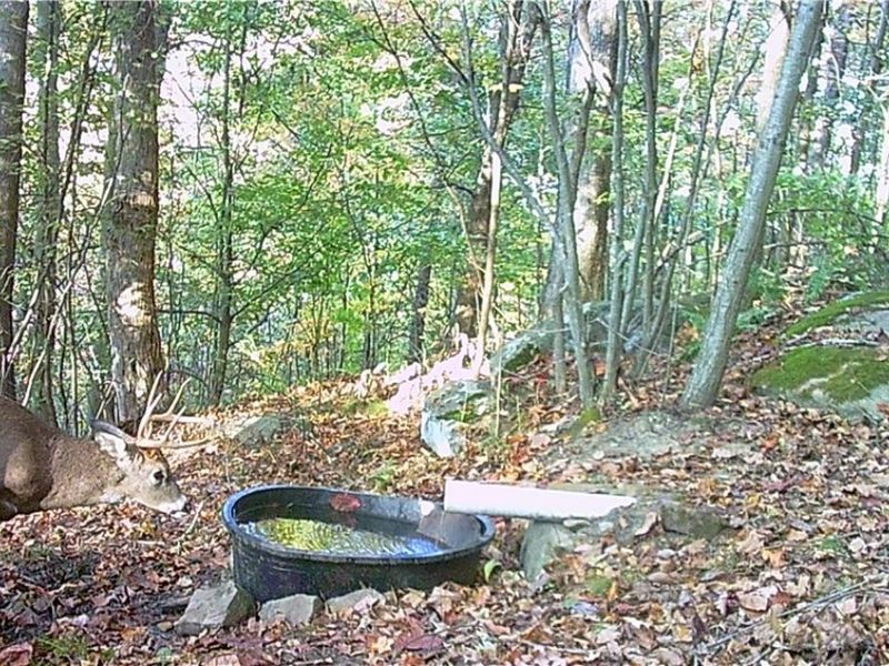 BOONE Road, Kimbolton, OH 43749 Photo 25