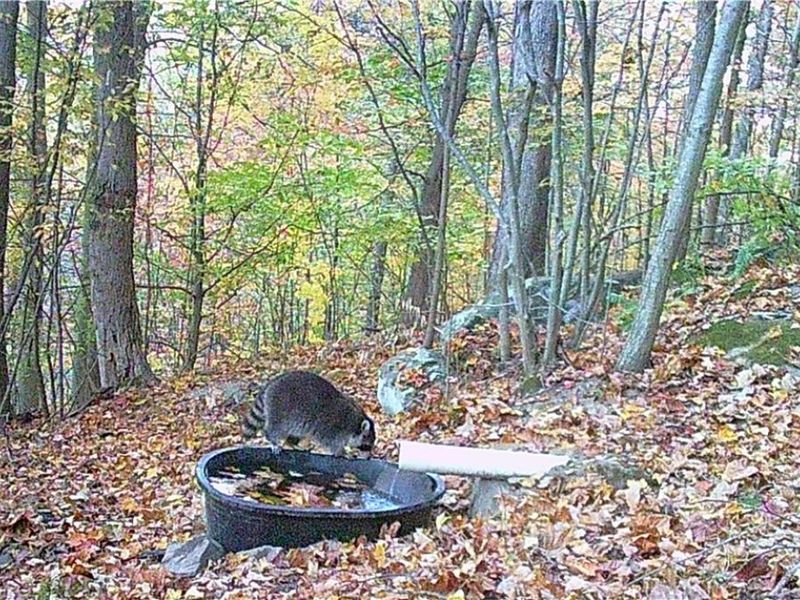 BOONE Road, Kimbolton, OH 43749 Photo 26