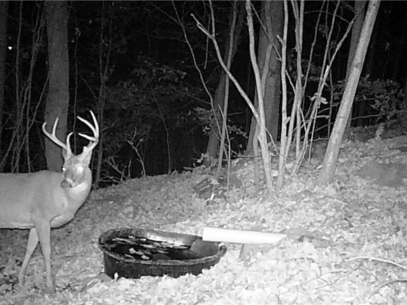 BOONE Road, Kimbolton, OH 43749 Photo 27