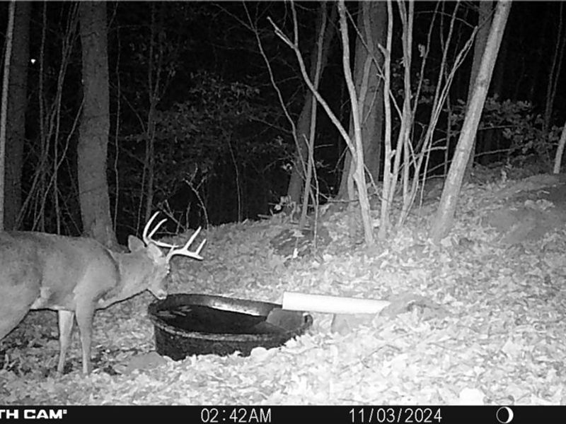 BOONE Road, Kimbolton, OH 43749 Photo 28