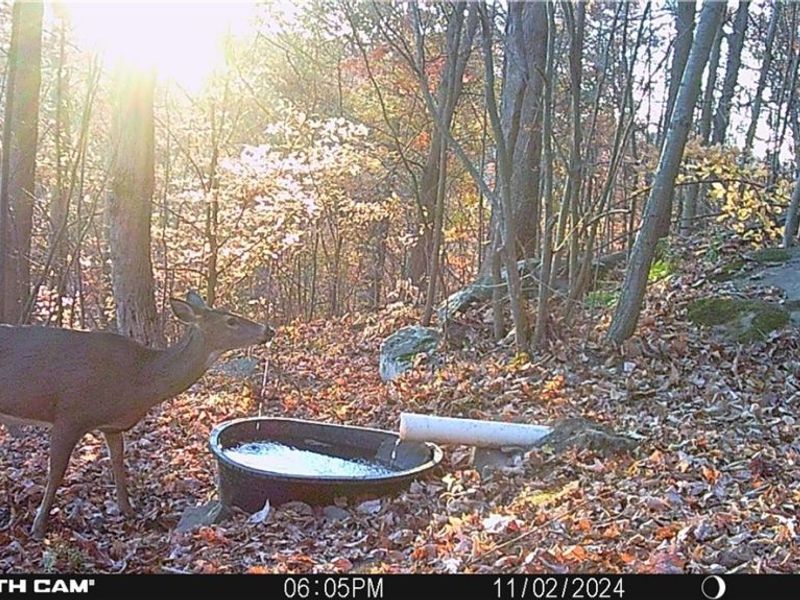 BOONE Road, Kimbolton, OH 43749 Photo 29