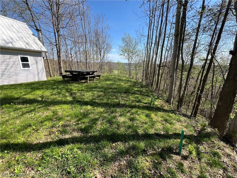 BOONE Road, Kimbolton, OH 43749 Photo 3