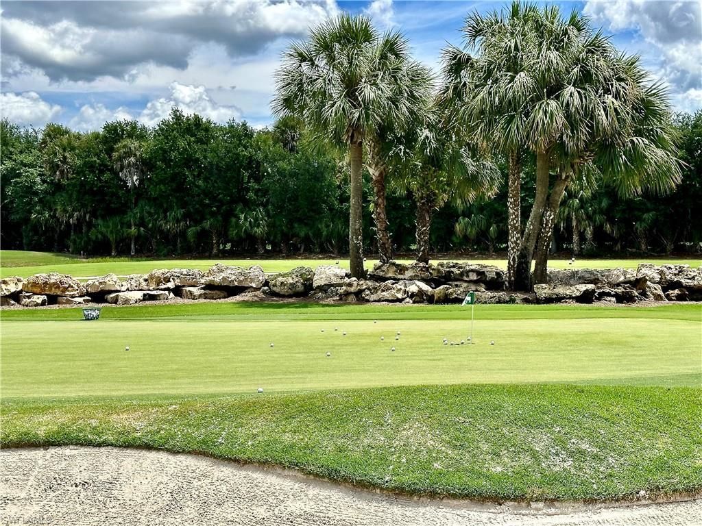 12654 Buttonbush Pl, Bonita Springs, FL 34135 Photo
