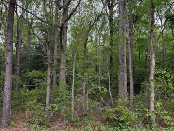 Lot 3 HUNTING QUARTER RD, HOUSTON, DE 19954