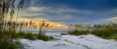 3903 45th Terrace W, Unit 106, Bradenton, FL 34210 Photo