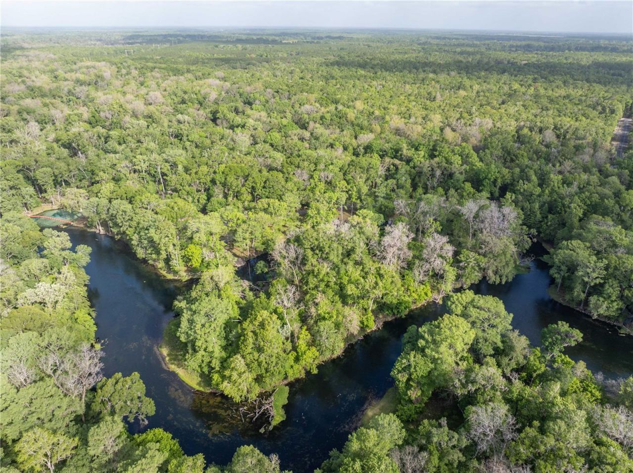 290 SW Rattlesnake Glen, Fort White, FL 32038 Photo