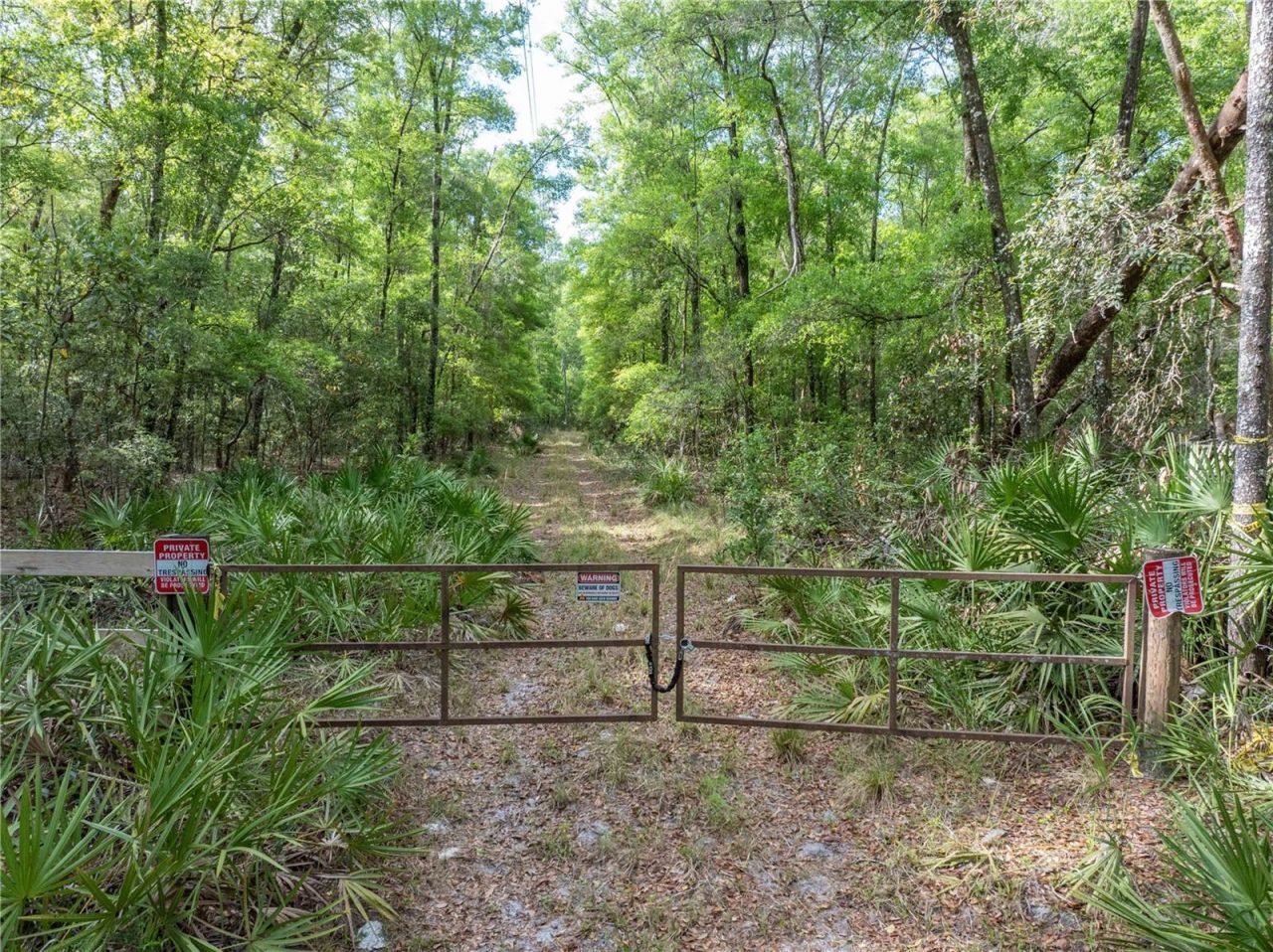 290 SW Rattlesnake Glen, Fort White, FL 32038 Photo